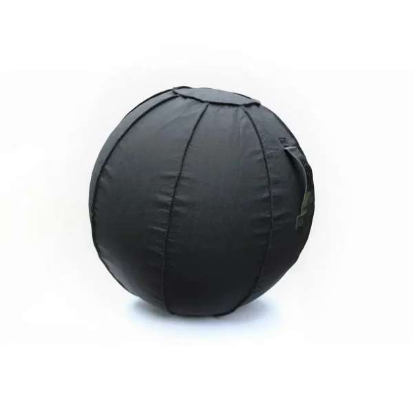 Active Anti-Microbial Large Balance Ball